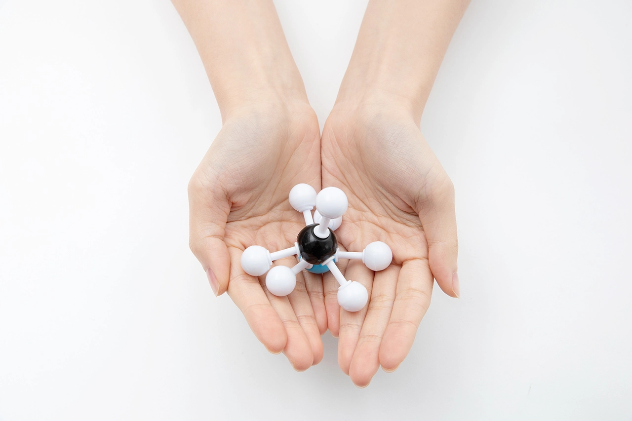 hands holding a model of a molecule